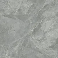 Керамогранит Regnum Grigio мат 59,5x59,5 9 мм арт. CR6060G0401R