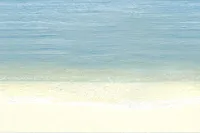 Декор Mauritius D7D138 глянц, 20x30