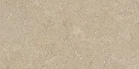 Керамогранит Beige NP02 NS мат 30,6x60,9 8 мм арт. 68870