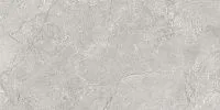Керамогранит Pluto Silver светло-серый мат 59,5x119,1 9 мм арт. SG50005220R