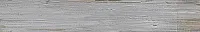 Керамогранит Tribeca Gris, 20,2x66,2