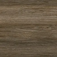 Керамогранит Forest мат, 60x60 9 мм, арт. GFU04FOR44R