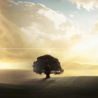 Панно Castle глянц, 40x40, арт. P2-1D194