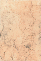 Плитка Адриано спутник глянц, 20x30