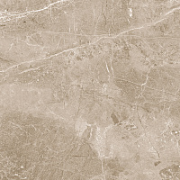 Obsidian Taupe Полированный. Универсальная плитка (60x60)