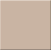 Керамогранит RW 041 полир, 60x60