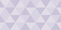 Geometrica Gris DW9GEO05. Декор (24,9x50)