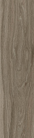 Керамогранит Escape Tortora мат, 12,5x50