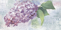 Сирио ВС9СИ123, 24,9x50