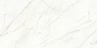 Europa Gold l белый мат. Универсальная плитка (60x120)