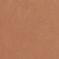 Керамогранит Anti-Slip Argillae Coral Rect мат, 60x60 9,9 мм