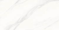 Calacatta Superb белый сатин. Универсальная плитка (60x120)
