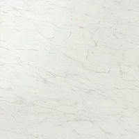 Керамогранит Marvel Cremo Delicato Lapp лап 120x120 9 мм арт. AY2U