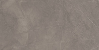 Splash Grey серый сатин. Универсальная плитка (60x120)