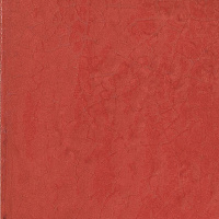 Плитка Rosso полир, 20x20