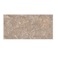 Керамогранит Oracle Brown полир 60x120 9 мм