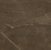 Armani Gold коричневый глянцевый. Универсальная плитка (60x60)
