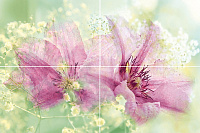 Панно Morning P4D262 из 4-х плиток глянц, 40x60