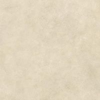 Керамогранит Boost Expression Camel мат 120x120 9 мм арт. AYT9