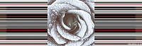 Décor Rose 02. Декор (15x45)