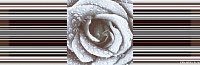 Декор Décor Rose 02 глянц, 15x45