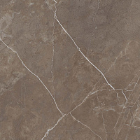 Керамогранит DETROIT BROWN полир, 60x60 9 мм, арт. POLISHED