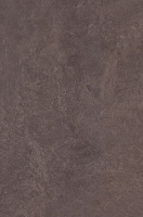 Вилла Флоридиана коричневый 8247. Настенная плитка (20x30)