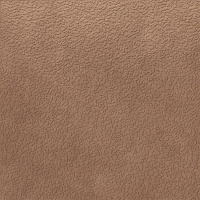 Керамогранит Nisus Terra Rect мат, 120x120