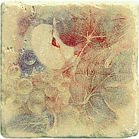 Декор Ins Botticino S/3 Beige Яблоко+Виноград, 10x10, арт. 1511014-12-2212-2