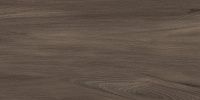 Керамогранит Goa Marron мат 30x60 8 мм арт. GP36GOA21