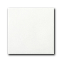 Плитка White, 20x20