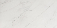 Плитка Evoque Blanco Brillo, 8x25