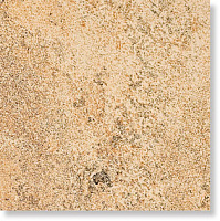 TAMBORA Base, 31x31
