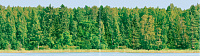 Панно Dec Forest Panno ( из 2-х шт) глянц, 25x90, арт. КПН16Forest