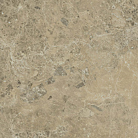 Керамогранит Виктори Сэнд мат, 60x60, арт. 610010001948