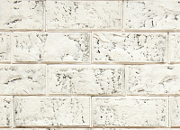 Касавага арт. 157 Скала, 8,5x21