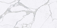 Керамогранит Statuario Nat Ret мат, 60x120