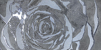 Декор Dec Omnia night лап, 60x120