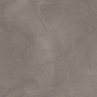 Splash Grey серый сатин. Универсальная плитка (60x60)