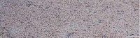 Плинтус Rodapie Fuji, 8,6x31,0