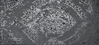 Декор ROMA 110 DARK INSERTO, 50x110, арт. fMBQ