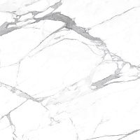 Керамогранит Carrara Terrific Silver белый мат 60x60 7,7 мм