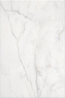 Вилла Юпитера белый 8248. Настенная плитка (20x30)