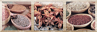 Декор Décor Exquisit B глянц, 10x30