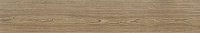 V52500081 Minnesota Camel. Настенная плитка (25x150)