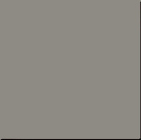 Керамогранит RW 032 мат, 60x60 10 мм, арт. 27272