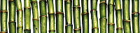Бордюр Jungle, 6x25, арт. C-JU1C021