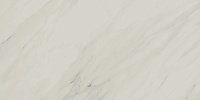 Аллюр Джиойя. Универсальная плитка (80x160)