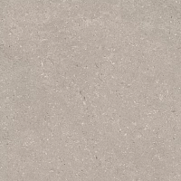 Керамогранит CORAL TOPO L (A) мат 80x80 арт. 100330200