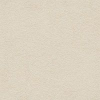 C227900011 Stuc Beige Texture мат. Универсальная плитка (59,4x119)